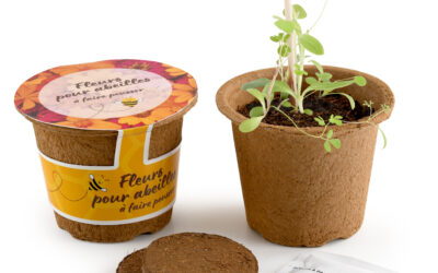 Promoseeds, une expertise enracinée au service de la biodiversité